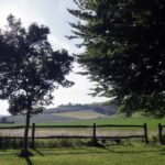 the4 view from the Hall