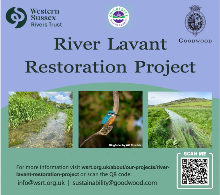 River Lavant Restoration Project