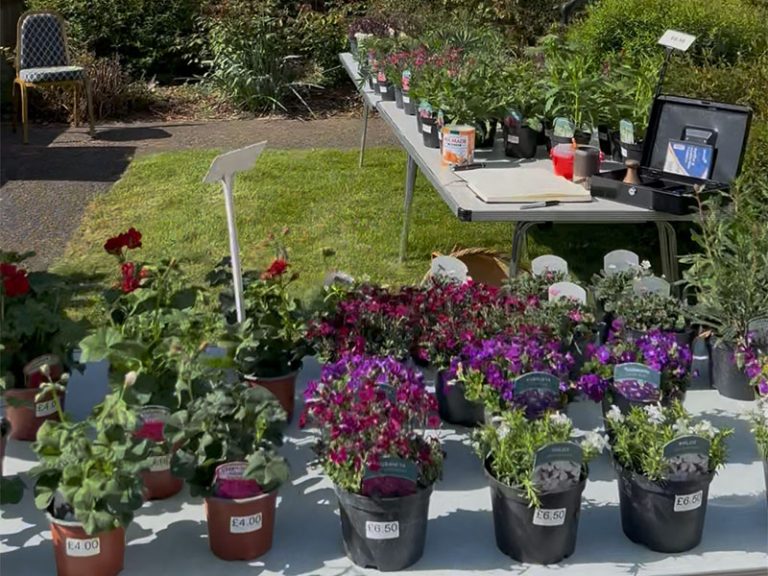 East Dean Village Hall - plants for sale